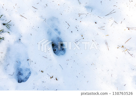 Snow trekking group displays memorable impressions through their joint winter adventure Snow trekking group displays memorable impressions through their joint winter adventure 138763526