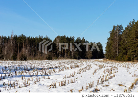 Winter rural scene. Serene winter scene highlighting frosty field and distant forest horizon Winter rural scene. Serene winter scene highlighting frosty field and distant forest horizon 138763532