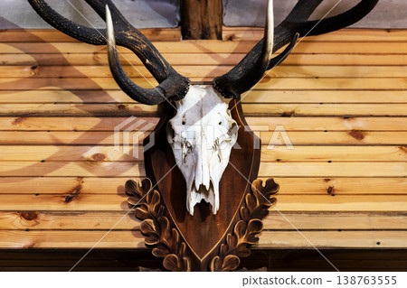 Wild animal skull on wood. Western lodge themed antelope skull with handcrafted charm 138763555