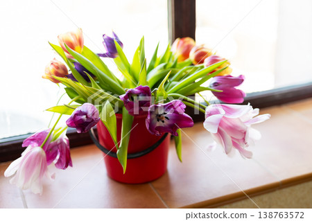 Cheerful tulips placed by window enhance inviting and romantic springtime atmosphere 138763572