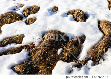 Thawing snow exposes textured soil patches with grasses and shadows in bright sunlight 138763584