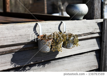 Decorative planters with dried herbs. Sunlit garden with hanging planters and rustic decor theme Decorative planters with dried herbs. Sunlit garden with hanging planters and rustic decor theme 138763589