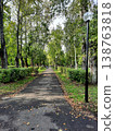 A green park alley with trees and a path covered with fallen leaves and street lamps. 138763818