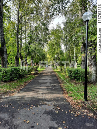 A green park alley with trees and a path covered with fallen leaves and street lamps. A green park alley with trees and a path covered with fallen leaves and street lamps. 138763818