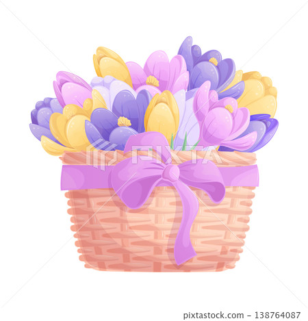 A bouquet of crocuses in a wicker basket decorated with a ribbon with a bow on a white background. The concept of International Women's Day, Mother's Day, and birthday. Isolated vector illustration A bouquet of crocuses in a wicker basket decorated with a ribbon with a bow on a white background. The concept of International Women's Day, Mother's Day, and birthday. Isolated vector illustration 138764087