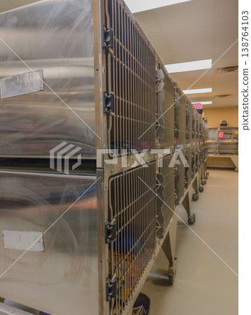 Animal rescue center has multiple empty cages lined up in a room with bright lighting during the day 138764103