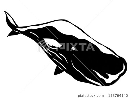 A Japanese-style paper-cut illustration of a sperm whale, a marine creature diving deep sideways. Transparent background. A Japanese-style paper-cut illustration of a sperm whale, a marine creature diving deep sideways. Transparent background. 138764140