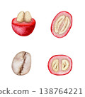 Red coffee cherries in cut and roasted bean watercolor isolated illustration set. Hand drawn tropical berries clip art for organic coffee packaging and education poster. Realistic detailed drawing. Red coffee cherries in cut and roasted bean watercolor isolated illustration set. Hand drawn tropical berries clip art for organic coffee packaging and education poster. Realistic detailed drawing. 138764221