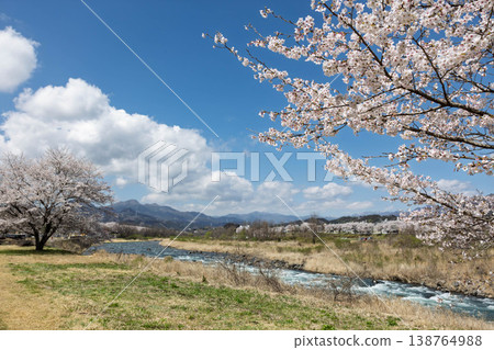 群馬縣的吾妻川春景 群馬縣的吾妻川春景 138764988