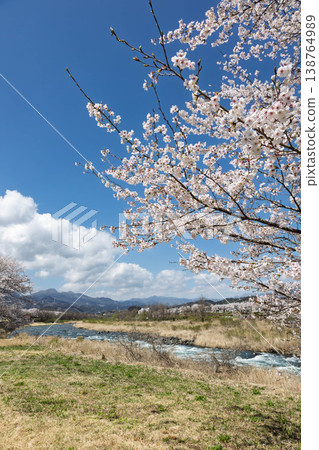 群馬縣的吾妻川春景 群馬縣的吾妻川春景 138764989