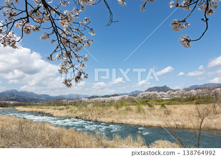 群馬縣的吾妻川春景 群馬縣的吾妻川春景 138764992
