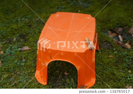 Orange plastic stool on mossy ground with a fallen leaf on top. Outdoor close-up of a small seat in nature. Orange plastic stool on mossy ground with a fallen leaf on top. Outdoor close-up of a small seat in nature. 138765017