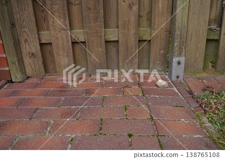 Brick patio with moss and weeds beside a wooden fence and metal post bracket 138765108