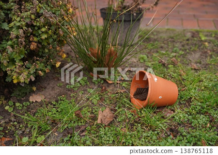Terracotta flowerpot lying on grass near plants and soil in a garden, with fallen leaf and brick background Terracotta flowerpot lying on grass near plants and soil in a garden, with fallen leaf and brick background 138765118
