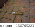 Wooden plank with a metal can lid on brick paving, outdoors near a wall 138765223