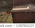 Small white ball on wooden strip resting on a dark metal step beside a paved walkway with scattered leaves 138765225