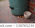 Green padded cylinder with strap on brick pavement beside a brick wall, with a ceramic bowl and dry leaves on the ground 138765230
