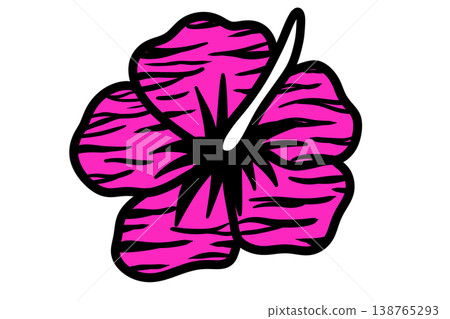 Zebra-patterned pink hibiscus 138765293