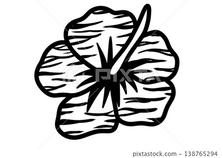 Monochrome zebra-patterned hibiscus Monochrome zebra-patterned hibiscus 138765294