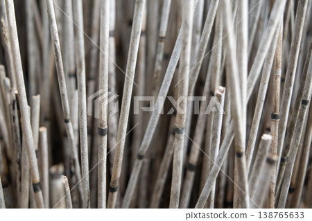Vertical dry sticks texture natural wooden lines background minimal organic pattern beige rustic design Vertical dry sticks texture natural wooden lines background minimal organic pattern beige rustic design 138765633