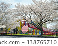 Cherry blossoms at Ishiyama Kannonike Park, 2026 138765710