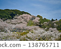 Cherry blossoms at Ishiyama Kannonike Park, 2026 138765711