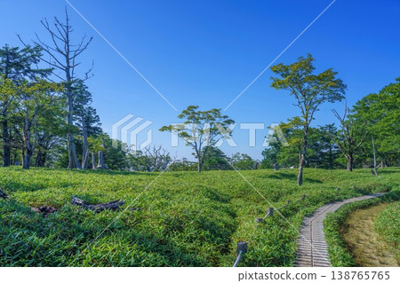 A dazzling view of the plateau's wooden boardwalk under a clear blue sky and lush greenery: The spectacular scenery of Odaigahara. 138765765