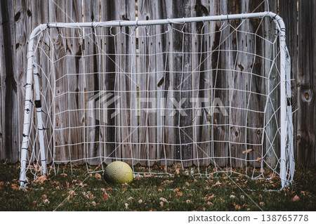 Soccer goal with yellow ball on grass in a backyard setting surrounded by wooden fence and fallen leaves Soccer goal with yellow ball on grass in a backyard setting surrounded by wooden fence and fallen leaves 138765778