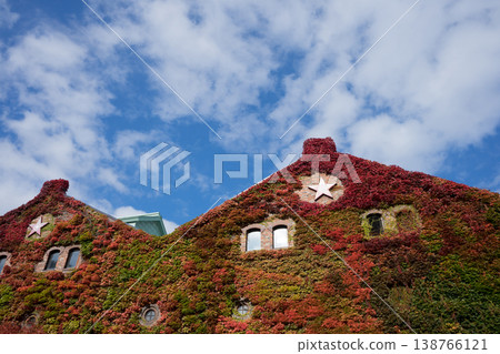 A wall covered in autumn foliage and ivy A wall covered in autumn foliage and ivy 138766121