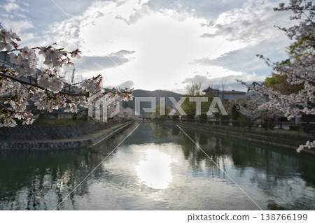春日京都：岡崎地區運河與盛開的櫻花（第四部） 138766199