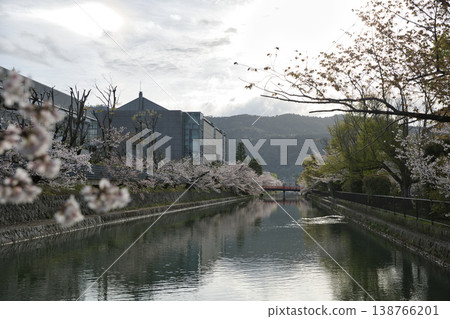 Kyoto in Spring: The Okazaki Area Canal and Cherry Blossoms in Full Bloom (6 photos) 138766201