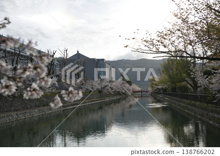 春日京都:岡崎地區運河與盛開的櫻花(7張照片) 春日京都:岡崎地區運河與盛開的櫻花(7張照片) 138766202
