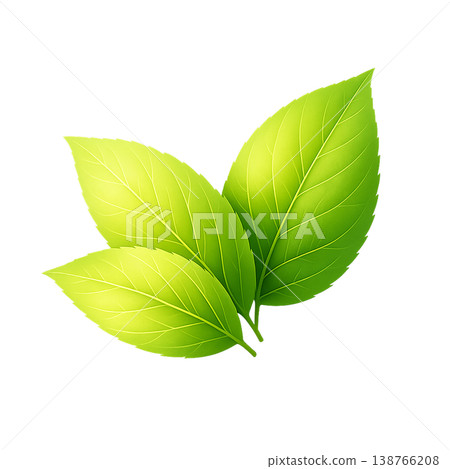新鮮綠葉水彩插畫，3幅自然葉子圖片 138766208