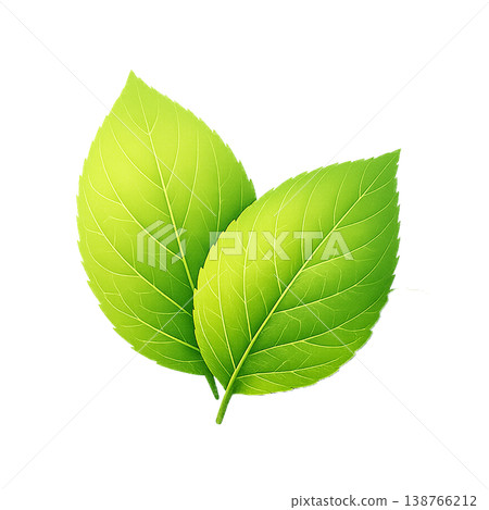 Fresh green leaves watercolor illustration, 2 botanical images. 138766212