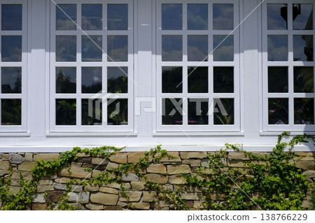A window on top of a stone wall covered with vines 138766229