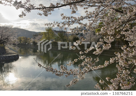 Kyoto in Spring: The Okazaki Area Canal and Cherry Blossoms in Full Bloom (13 photos) Kyoto in Spring: The Okazaki Area Canal and Cherry Blossoms in Full Bloom (13 photos) 138766251