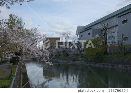 春日京都：岡崎地區運河與盛開的櫻花（11張照片） 138766254