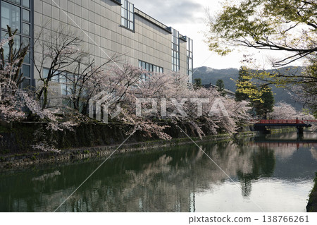 春日京都：岡崎地區運河與盛開的櫻花（19張照片） 138766261
