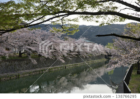 Kyoto in Spring: The Okazaki Area Canal and Cherry Blossoms in Full Bloom (20 photos) Kyoto in Spring: The Okazaki Area Canal and Cherry Blossoms in Full Bloom (20 photos) 138766295