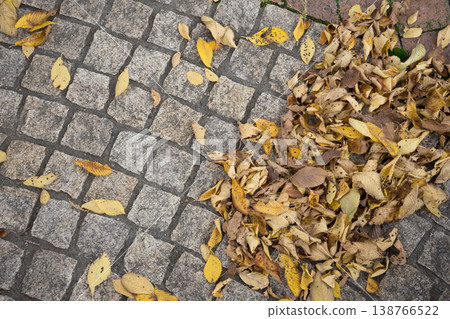 Autumn leaves 138766522