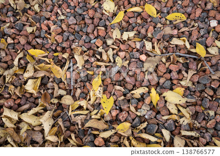 Autumn leaves Autumn leaves 138766577