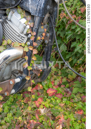Ivy entwined around an old motorcycle Ivy entwined around an old motorcycle 138766580