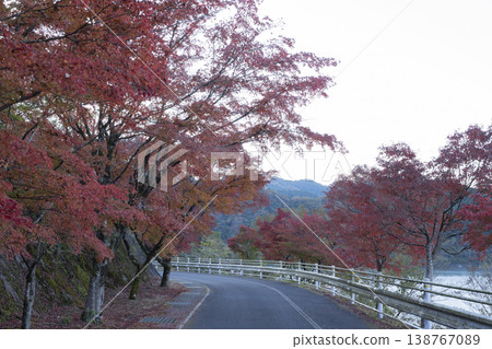 楓葉和道路 楓葉和道路 138767089