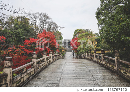 Nov 25 2025 Kennin ji Temple in Kyoto During Gentle Rainfall 138767150