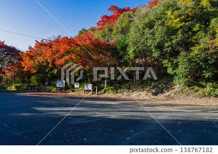 Autumn foliage scenery at Tobayama Park in Hamamatsu City (Shizuoka Prefecture) 138767182