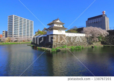 Oita Castle Ruins Park and Prefectural Office (Funai Castle Ruins) in spring Oita Castle Ruins Park and Prefectural Office (Funai Castle Ruins) in spring 138767201