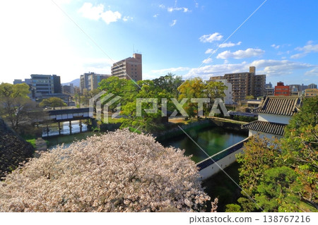 Springtime in Oita city (viewed from Oita Castle Ruins Park) 138767216