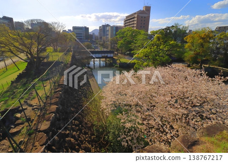 Springtime in Oita city (viewed from Oita Castle Ruins Park) Springtime in Oita city (viewed from Oita Castle Ruins Park) 138767217