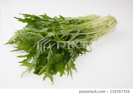 Mizuna (Japanese mustard greens) - Studio photography Mizuna (Japanese mustard greens) - Studio photography 138767356