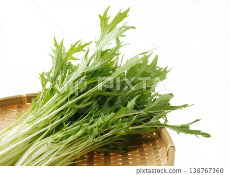 Mizuna (Japanese mustard greens) - Studio photography 138767360